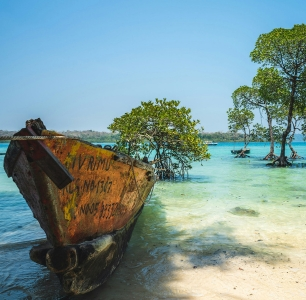 4 nights 5 Days Andaman tour packages