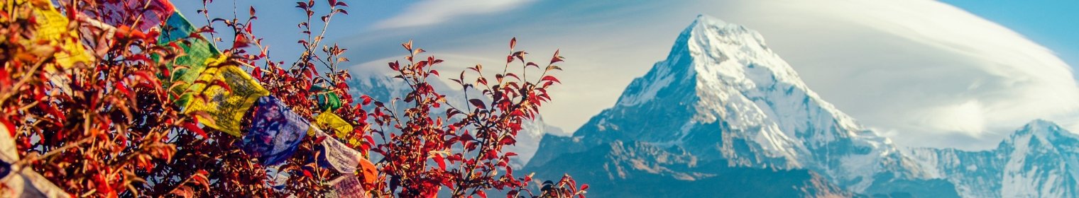 Tour Packages Background Image