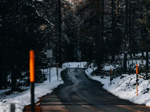 Mehar Tour and Travels Customized Tour Packages